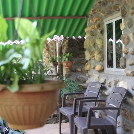 Jungle Book Resort Collem Exterior foto